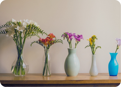 White flowers in glass vases